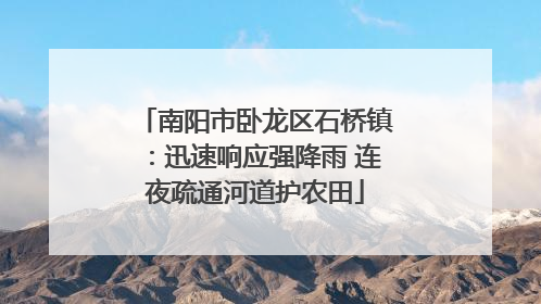 南阳市卧龙区石桥镇：迅速响应强降雨 连夜疏通河道护农田