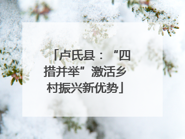 卢氏县：“四措并举”激活乡村振兴新优势