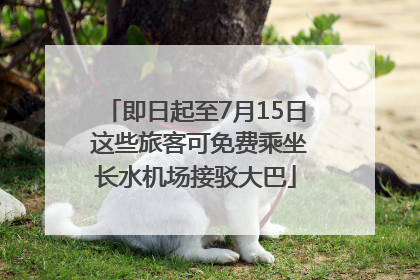 即日起至7月15日 这些旅客可免费乘坐长水机场接驳大巴