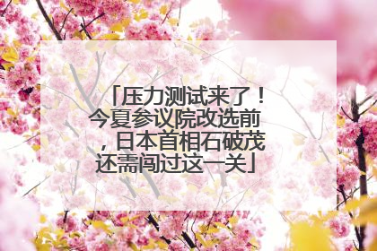 压力测试来了！今夏参议院改选前，日本首相石破茂还需闯过这一关