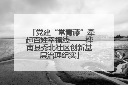 党建“常青藤”牵起百姓幸福线——桦南县秀北社区创新基层治理纪实
