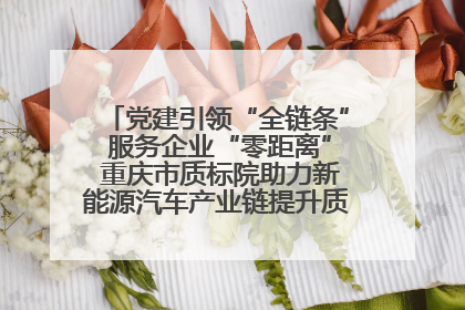 党建引领“全链条” 服务企业“零距离” 重庆市质标院助力新能源汽车产业链提升质量管理水平