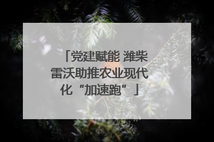 党建赋能 潍柴雷沃助推农业现代化“加速跑”
