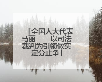 全国人大代表马丽——以司法裁判为引领做实定分止争