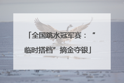全国跳水冠军赛：“临时搭档”摘金夺银