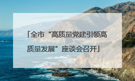 全市“高质量党建引领高质量发展”座谈会召开