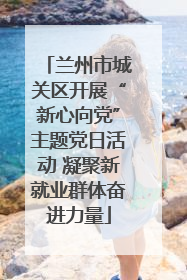 兰州市城关区开展“新心向党”主题党日活动 凝聚新就业群体奋进力量