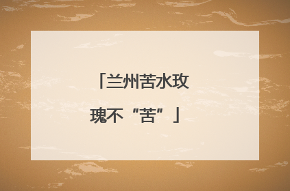 兰州苦水玫瑰不“苦”