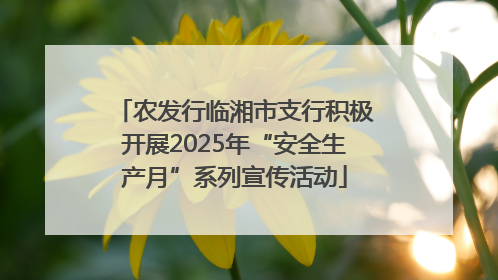 农发行临湘市支行积极开展2025年“安全生产月”系列宣传活动