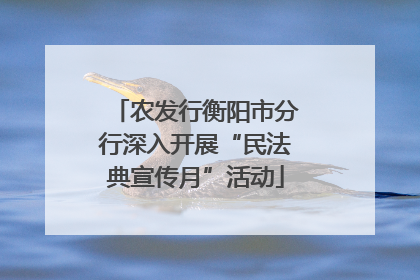 农发行衡阳市分行深入开展“民法典宣传月”活动