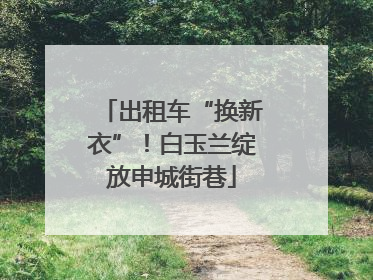 出租车“换新衣”！白玉兰绽放申城街巷