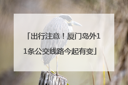 出行注意！厦门岛外11条公交线路今起有变