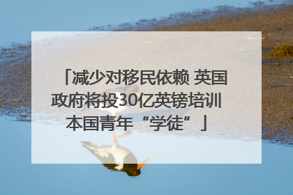 减少对移民依赖 英国政府将投30亿英镑培训本国青年“学徒”