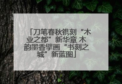 刀笔春秋镌刻“木业之都”新华章 木韵墨香擘画“书刻之城”新蓝图
