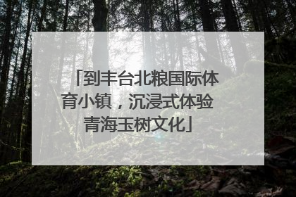 到丰台北粮国际体育小镇，沉浸式体验青海玉树文化
