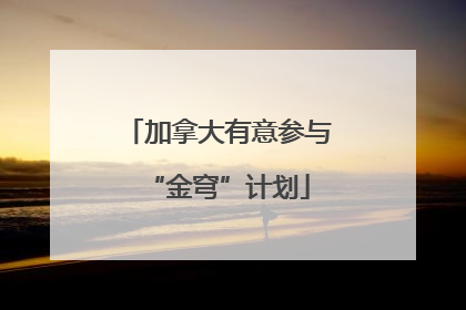 加拿大有意参与“金穹”计划