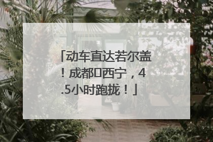 动车直达若尔盖！成都⇄西宁，4.5小时跑拢！