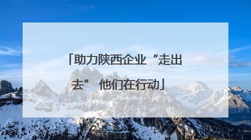 助力陕西企业“走出去” 他们在行动