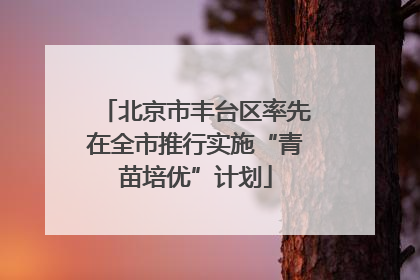 北京市丰台区率先在全市推行实施“青苗培优”计划