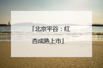 北京平谷：红杏成熟上市