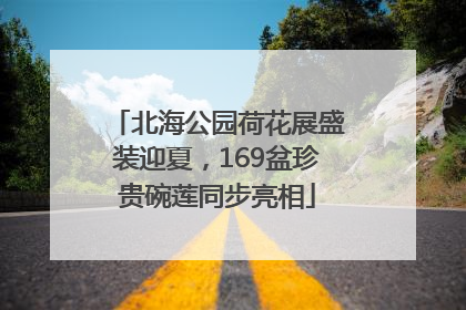 北海公园荷花展盛装迎夏，169盆珍贵碗莲同步亮相