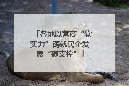 各地以营商“软实力”铸就民企发展“硬支撑”