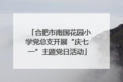 合肥市南国花园小学党总支开展“庆七一”主题党日活动