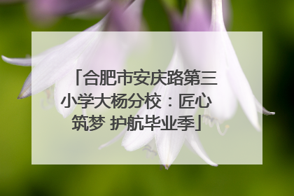 合肥市安庆路第三小学大杨分校：匠心筑梦 护航毕业季