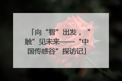 向“智”出发，“触”见未来——“中国传感谷”探访记