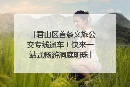 君山区首条文旅公交专线通车！快来一站式畅游洞庭明珠