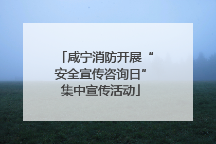 咸宁消防开展“安全宣传咨询日”集中宣传活动