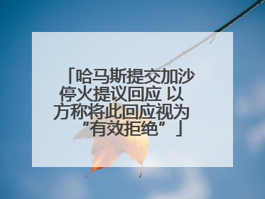 哈马斯提交加沙停火提议回应 以方称将此回应视为“有效拒绝”