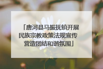 唐河县马振抚镇开展民族宗教政策法规宣传 营造团结和谐氛围