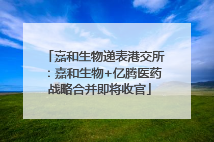 嘉和生物递表港交所：嘉和生物+亿腾医药战略合并即将收官