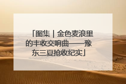图集｜金色麦浪里的丰收交响曲——豫东三夏抢收纪实