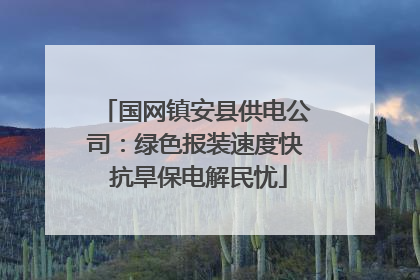 国网镇安县供电公司：绿色报装速度快 抗旱保电解民忧