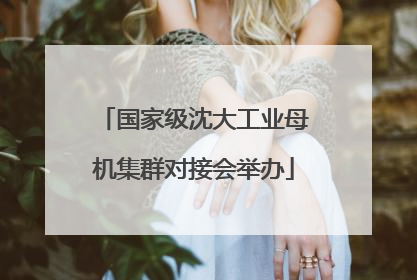 国家级沈大工业母机集群对接会举办