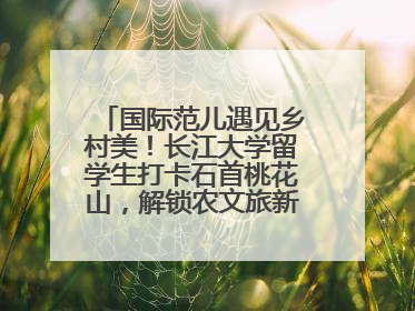 国际范儿遇见乡村美！长江大学留学生打卡石首桃花山，解锁农文旅新玩法！