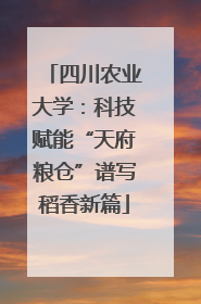 四川农业大学：科技赋能“天府粮仓”谱写稻香新篇