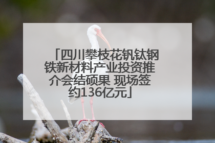 四川攀枝花钒钛钢铁新材料产业投资推介会结硕果 现场签约136亿元