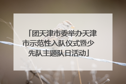 团天津市委举办天津市示范性入队仪式暨少先队主题队日活动