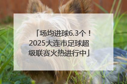 场均进球6.3个！2025大连市足球超级联赛火热进行中