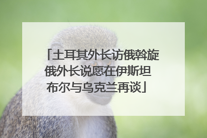土耳其外长访俄斡旋 俄外长说愿在伊斯坦布尔与乌克兰再谈