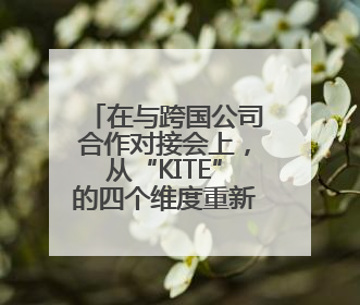在与跨国公司合作对接会上，从“KITE”的四个维度重新打开潍坊