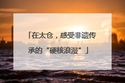 在太仓，感受非遗传承的“硬核浪漫”