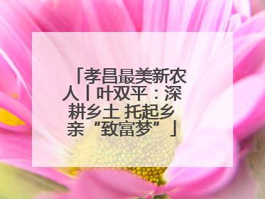 孝昌最美新农人丨叶双平：深耕乡土 托起乡亲“致富梦”