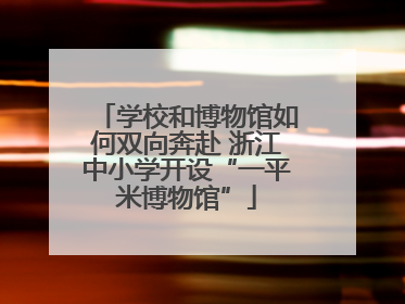 学校和博物馆如何双向奔赴 浙江中小学开设“一平米博物馆”