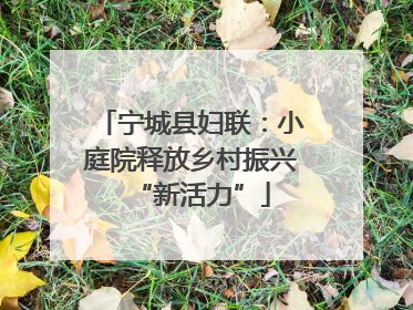 宁城县妇联：小庭院释放乡村振兴“新活力”