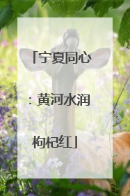 宁夏同心：黄河水润枸杞红