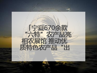 宁夏670余款“六特”农产品亮相农展馆 推动优质特色农产品“出宁进京”